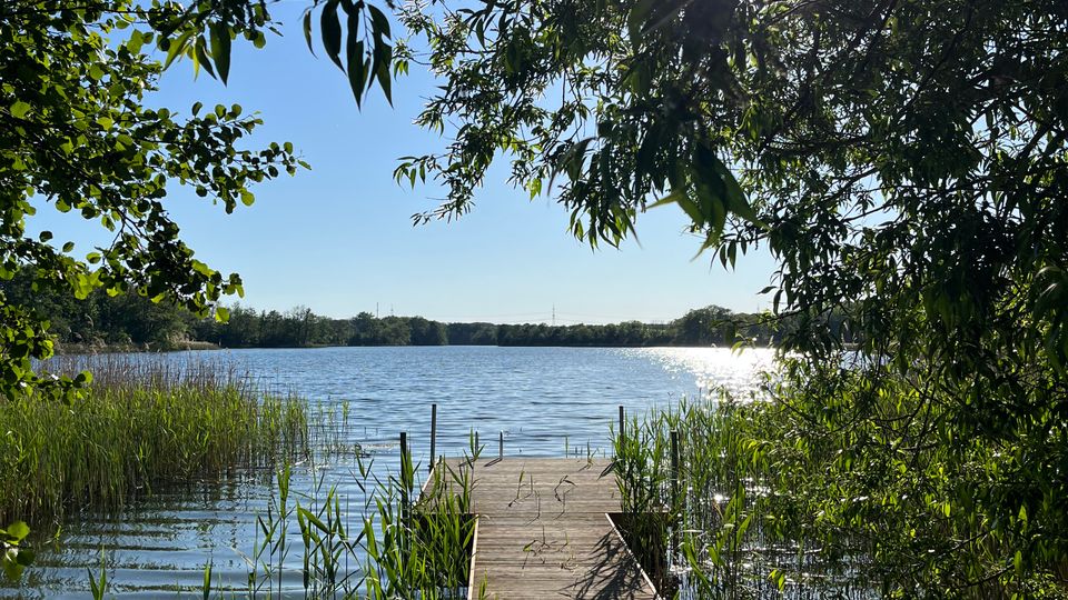 Holzsteg, der durch Schilf und Ufervegetation in einen ruhigen See führt. Überhängende Baumkronen rahmen den Blick, während die Sonne durch die Blätter scheint und sich im Wasser spiegelt.