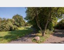 Ein Park mit einem asphaltierten Weg, der sich zwischen einer Wiese und dichtem Baumbestand schlängelt. Links befinden sich Büsche und Grasflächen, während rechts ein Baum und weitere dichte Vegetation zu sehen sind.