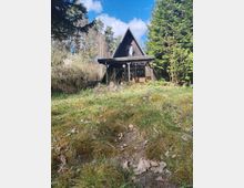 Holz-Ferienhaus im A‑Frame-Stil mit steilem Satteldach und überdachter Terrasse vor großen Fensterflächen. Davor eine leicht abschüssige, moosige Wiese; das Haus ist von hohen Bäumen und dichtem Wald umgeben.