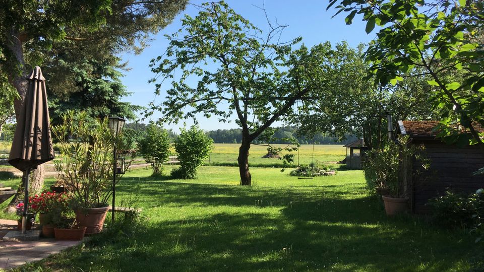 Blick in einen weitläufigen Garten mit Rasenfläche, einem zentralen Baum und umgebenden Sträuchern sowie hohen Bäumen am Rand. Links stehen ein geschlossener Sonnenschirm und mehrere Pflanzkübel auf einer Terrasse, rechts ist ein kleines Holzgebäude zu sehen; im Hintergrund liegen offene Felder unter blauem Himmel.
