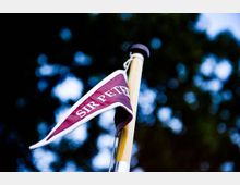 Ein rot-weißes Wimpel mit der Aufschrift „SIR PETER“ ist an einem Holzstab befestigt. Der Hintergrund zeigt unscharfe Bäume und einen leicht dämmernden Himmel.