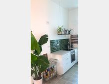 Moderne Küche mit weißer Einrichtung, grün gefliester Rückwand und grauem Boden. Im Vordergrund steht eine große Zimmerpflanze in einem weißen Topf, daneben ein Wagen mit Flaschen; an der Wand hängen schwebende Regale mit Pflanzen und Dekoration.