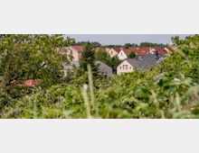 Wohngebiet mit Einfamilienhäusern, teils mit roten und grauen Dächern, umgeben von dichter Vegetation und Bäumen im Vordergrund. Im Hintergrund sind weitere Häuser sowie bewaldete Hügel zu sehen.