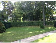 Gepflegter Garten mit einer Rasenfläche, umlaufender Hecke und mehreren hohen Bäumen im Hintergrund. Am rechten Rand des Bildes ist ein gepflasterter Weg sichtbar, links und rechts befinden sich kleinere Sträucher und Büsche.