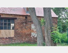 Backsteinfassade eines alten Gebäudes mit kleinen Fenstern und hölzernem Verschlag, daneben stehen zwei große Bäume. Im Hintergrund sind Sträucher und Grünflächen sichtbar.