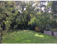 Ein Garten mit einer Rasenfläche im Vordergrund, umgeben von Bäumen und Sträuchern. Rechts befinden sich hochgezogene Holzbeete mit Pflanzen.