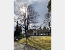 Ein einstöckiges Gebäude mit heller Fassade und Satteldach steht auf einer leicht erhöhten, grasbewachsenen Fläche, umgeben von kahlen Bäumen. Im Vordergrund verläuft eine asphaltierte Straße, rechts parkt ein weißer Lieferwagen vor dem Gebäude.