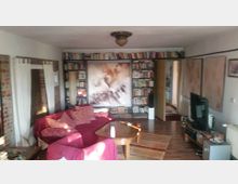 Wohnzimmer mit Bücherregalen, einem zentral platzierten roten Sofa mit Kissen und einem Holztisch. An der Wand hängt ein großes, abstraktes Kunstwerk, daneben befinden sich ein Fernseher und weitere Möbel.