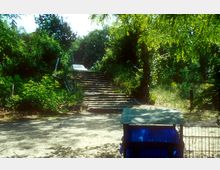 Treppen aus Stein führen durch eine bewachsene Grünanlage mit dichtem Gebüsch und Bäumen, die Schatten spenden. Im Vordergrund steht eine blaue Mülltonne auf einem sandigen Weg.
