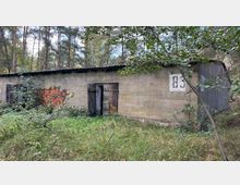 Betongebäude mit flachem Dach und verwitterten Türen, umgeben von dichtem Gras und Bäumen in einem Wald. Auf der Fassade befinden sich Graffiti und die Zahl „83“ ist aufgemalt.