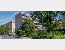 Mehrstöckiges Wohngebäude mit rosa und beigen Fassaden, umgeben von Bäumen, Sträuchern und einer asphaltierten Straße mit parkenden Autos. Im Vordergrund stehen Straßenlaternen und dichter Grünbewuchs.