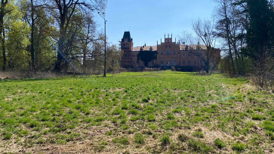 Blick über eine große, grasbewachsene Wiese auf ein historisches Schloss aus rotem Backstein mit Türmen und Zinnen. Das Gebäude liegt am Waldrand und wird von hohen, teils kahlen Bäumen eingerahmt, darüber ein klarer blauer Himmel.