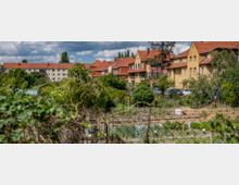 Reihenhäuser mit roten Ziegeldächern und bunter Fassade stehen hinter einem Grünenfeld mit Gärten, Sträuchern und verschiedenen Pflanzen unter einem wolkigen Himmel.