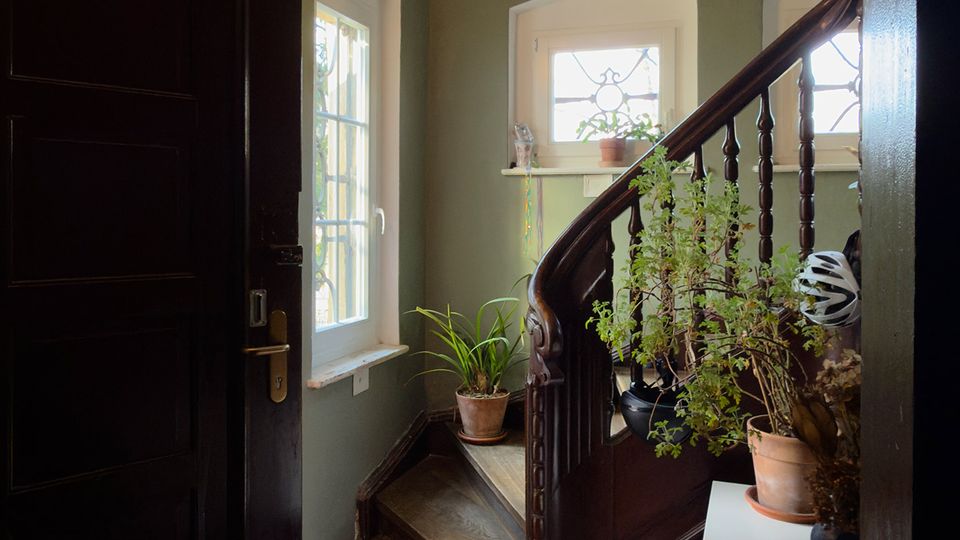 Eingangsbereich eines Hauses mit dunkler Holztür, rotbraunen Fliesen und einer geschwungenen Holztreppe mit Geländer. Mehrere kleine Fenster lassen Tageslicht hinein; auf Stufen und Ablagen stehen Topfpflanzen, daneben liegt ein schmaler gestreifter Läufer.