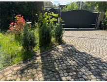 Gepflasterter Hof mit kleinen, grünen Sträuchern und einem roten Zierstrauch im Vordergrund. Im Hintergrund ist ein geschlossenes, schwarzes Metalltor sowie umliegende Bäume und Vegetation zu sehen.