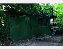 Eine halb verfallene, grüne Holzhütte mit Efeu und Blättern, die das Dach und Teile der Fassade bedecken. Der Boden davor ist unbefestigt, und durch die offene Seitentür sind Gartengeräte und Gegenstände zu erkennen.