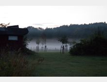 Eine Wiese bei Dämmerung mit leichter Nebelschicht, im Hintergrund eine Baumreihe. Links im Bild ist ein dunkles Holzgebäude teilweise sichtbar, und jung gepflanzte Bäume stehen entlang einer Wiese vor einem dichten Wald.