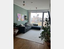 Ein Wohnzimmer mit Holzboden, einer grauen Eckcouch und einem hellen Teppich. An der grünen Wand hängen zwei Gemälde und Regale mit Pflanzen; große Fenster mit Blick auf einen Balkon und winterliche Außendekoration erhellen den Raum.