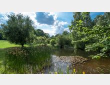Ein Park mit einem kleinen Teich, der von Wasserpflanzen, Seerosen und umliegenden Bäumen sowie Sträuchern umgeben ist. Im Hintergrund sind eine Wiese und dicht bewachsene Bäume unter einem teilweise bewölkten Himmel zu sehen.