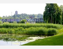 Grüne Parklandschaft mit einem kleinen Teich im Vordergrund, hohem Gras und Bäumen; im Hintergrund eine Brücke mit farbigen Graffiti und ein historischer Turm auf einem bewaldeten Hügel.