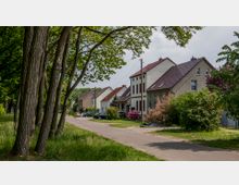 Eine ruhige Wohnstraße mit Einfamilienhäusern, die teils verputzt und teils mit Ziegeln gedeckt sind. Auf der linken Seite säumen hohe Bäume die Straße, während Vorgärten mit Sträuchern und Blumen die rechte Seite schmücken.