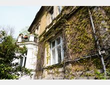 Fassade eines historischen Gebäudes mit gelblich-braunen Backsteinen, teilweise bewachsen mit frischen Kletterpflanzen. Links ist ein weißer Balkon mit Pflanzen und umliegender dichter Vegetation sichtbar.
