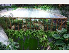 Gewächshaus mit transparentem Dach und Holzrahmen, gefüllt mit verschiedenen Grünpflanzen und bunten Blumen in Töpfen. Umgeben von dichten Farnen und tropischer Vegetation, mit einer mit Moos bewachsenen Wand im Vordergrund.