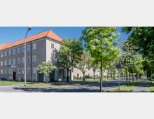 Wohnstraße mit einer Reihe von mehrstöckigen Wohnhäusern mit roten Ziegeldächern und hellem Putz, umgeben von einer Allee aus blühenden Bäumen. Bürgersteige, Grünflächen und ein Verkehrsschild sind sichtbar, während eine Person mit einem Hund auf dem Gehweg entlanggeht.