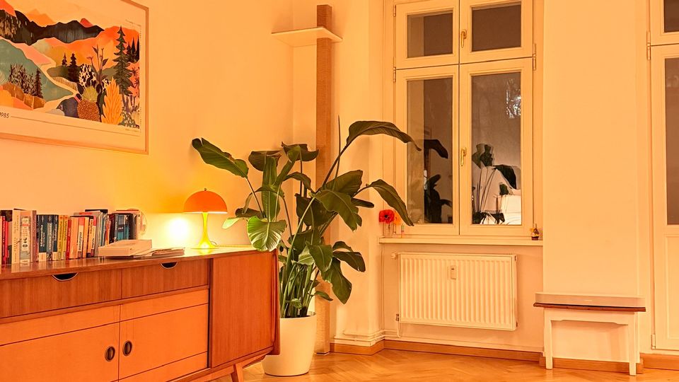 Helles Wohnzimmer mit Holzparkett und großem Doppelfenster über einem Heizkörper. Links stehen ein Mid-Century-Sideboard mit Büchern und Lampe sowie eine große Zimmerpflanze; im Vordergrund sind ein niedriger Tisch mit Kerze und ein gemusterter Teppich zu sehen.