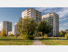 Mehrere Hochhäuser aus Beton mit Balkonen stehen in einer Wohnsiedlung, umgeben von Rasenflächen, Bäumen und Gehwegen unter einem teilweise bewölkten Himmel.