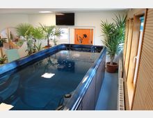 Innenraum mit einem länglichen Whirlpool, umgeben von Topfpflanzen und Holzwänden. Im Hintergrund eine Tür mit Glasfenster, ein orangefarbener Fitnessraum sowie ein Flachbildfernseher an der Wand.