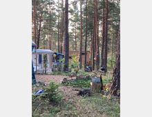 Ein Campingplatz inmitten eines lichten Kiefernwaldes mit einem Zelt und einer Holzlaube im Hintergrund. Im Vordergrund sind eine Feuerstelle aus Steinen, Pflanzen in Töpfen und verschiedene Campingutensilien zu sehen.