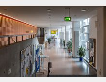 Ein moderner Flur in einem öffentlichen Gebäude mit großen Glasfenstern auf der rechten Seite, die viel Tageslicht einlassen. Der Raum ist mit Pflanzen dekoriert, hat Pinwände an den Wänden links und führt zu einer Treppe sowie einer Tür am Ende des Gangs.