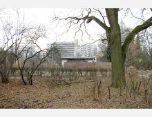 Ein kahler Park mit Laubboden, dünnen Büschen und einem großen Baum im Vordergrund. Im Hintergrund sind ein flaches Gebäude und ein mehrstöckiges Wohngebäude erkennbar.