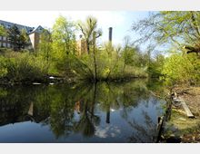 Teich in einer parkartigen Umgebung, umgeben von dichter Vegetation und Bäumen, mit einem roten Backsteingebäude und einem Schornstein im Hintergrund. Die Gebäude und Bäume spiegeln sich im ruhigen Wasser.