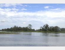 Flusslandschaft mit ruhigem Wasser, Uferbereichen aus Kies und dichter Vegetation mit Bäumen und Schilf; darüber ein teils bewölkter Himmel.