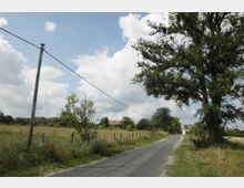 Schmaler Asphaltweg führt durch eine ländliche Landschaft mit Wiesen, Zaunpfählen und vereinzelten Bäumen; im Hintergrund sind einige Gebäude und ein bewölkter Himmel zu sehen. Ein Strommast und eine Oberleitung verlaufen entlang der linken Seite des Weges.