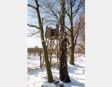 Hölzerner Hochsitz zwischen mehreren Bäumen in einer verschneiten Landschaft, umgeben von einem Drahtzaun; im Hintergrund sind ein Feld und weitere kahle Bäume zu sehen.
