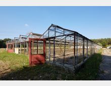 Eine Reihe alter, verlassener Gewächshäuser mit Glasdächern und Metallrahmen, von denen eines eine rot lackierte Tür hat, die offensteht. Die Umgebung besteht aus Wiesen und Bäumen im Hintergrund, bei klarem Himmel.