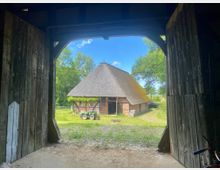 Blick aus einer dunklen Holztoröffnung auf einen ländlichen Hof mit einem reetgedeckten Fachwerk- und Backsteingebäude. Davor liegen eine Wiese und ein Schotterbereich, umgeben von Bäumen unter blauem Himmel.