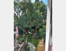 Blick aus einem Fenster auf einen Garten mit einer Holzterrasse, Gartenmöbeln, einem gepflasterten Weg, großen Bäumen und einer grünen Rasenfläche. Ein Sonnenschirm und Pflanzen auf der Terrasse sowie ein Holz-Zaunelement im Garten sind sichtbar.