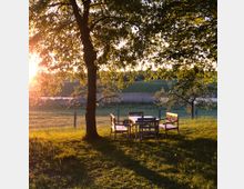 Eine idyllische Wiese mit einem Holztisch und mehreren Holzbänken unter einem großen Baum. Sonnenlicht scheint durch die Blätter, im Hintergrund sind weitere Bäume und ein Feld sichtbar.