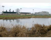 Ein Stadion mit Tribünen und Flutlichtmasten im Hintergrund, umgeben von einer Wiese und einem kleinen Teich mit Schilfbewuchs im Vordergrund. Der Himmel ist bedeckt, und die Umgebung wirkt ruhig.