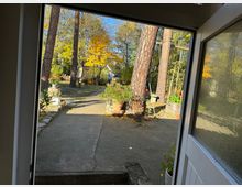 Blick von einer offenen Tür auf einen Gartenweg, umgeben von hohen Bäumen und Pflanzen in Töpfen. Im Hintergrund sind eine Schaukel, eine Bank, und ein kleines Gebäude zu sehen, eingebettet in einen herbstlichen, sonnigen Garten.