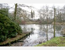 Ein Teich in einer natürlichen Umgebung, umgeben von kahlen Bäumen und dichten Sträuchern. Im Vordergrund befindet sich eine mit Laub bedeckte Uferzone, während im Hintergrund zwei Tannen und eine offene Wiese sichtbar sind.