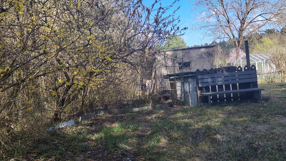 Böschungsfläche mit Gras und niedrigen Sträuchern vor einem kleinen, teils eingegrabenen Betongebäude mit Fensteröffnung. Rechts steht ein dunkles Holzgeländer, im Hintergrund sind Bäume und ein Gewächshaus unter blauem Himmel mit Wolken zu sehen.
