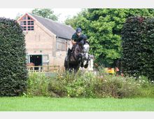 Ein Reiter auf einem springenden Pferd über eine blühende Hecke, mit einer Backstein-Scheune und weiteren Bäumen im Hintergrund. Die Szene findet auf einer grünen Wiese statt.
