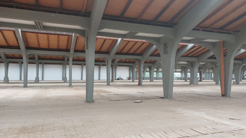 Großer, leerer Innenraum einer Industriehalle mit grauen Pfeilern und einem Dach aus Holz und Stahlträgern. Der Boden ist teilweise beschädigt, Fensterreihen an den Wänden lassen Tageslicht hinein.