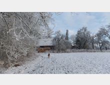 Winterliche Landschaft mit einer Wiese, kahlen, schneebedeckten Bäumen und einem Haus mit Holzdach im Hintergrund. Im Vordergrund läuft ein Hund durch den Schnee.