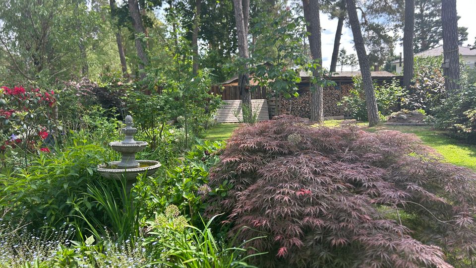 Gepflegter Garten mit dichtem Grün, bunten Blühpflanzen und einem kleinen steinernen Brunnen im Vordergrund. Im Hintergrund stehen hohe Kiefern, ein gepflegter Rasen sowie ein Holzschuppen mit gestapeltem Brennholz.